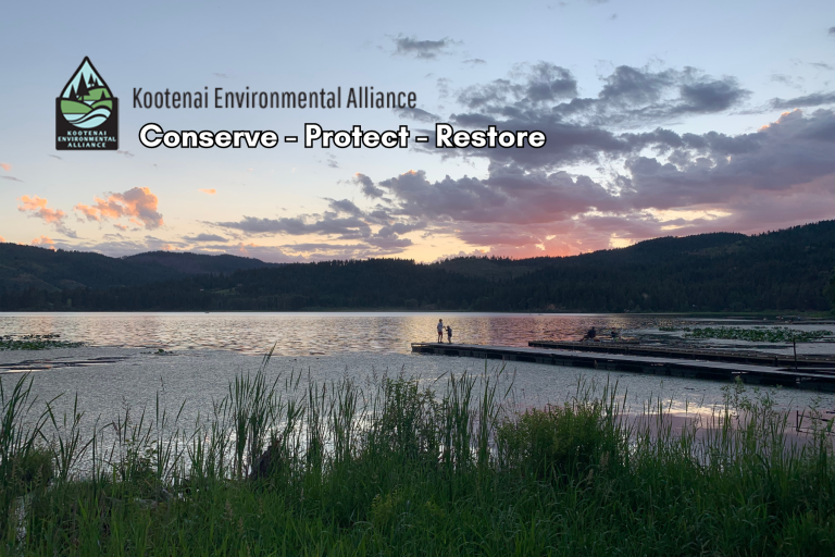 OUR GEM: Re-MEMBER-ing the Kootenai Environmental Alliance