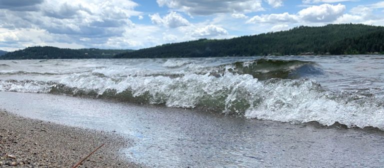 From Flammable to Fishable: the US Clean Water Act
