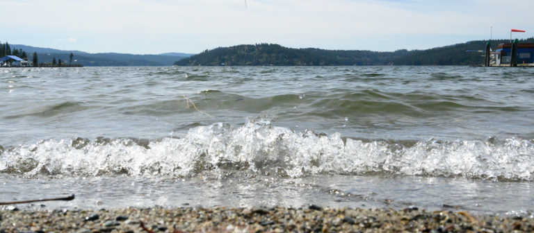 Great Lake Debate