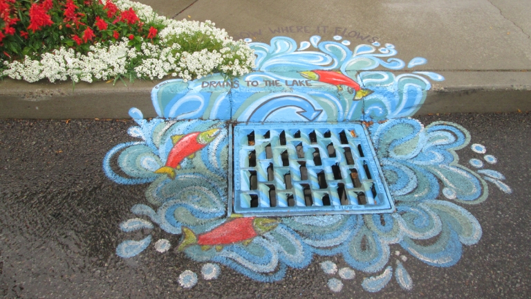 Pollution Prevention for North Idaho’s Rivers and Lakes
