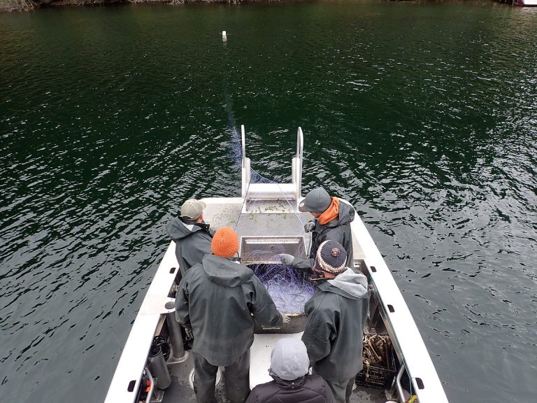 Protecting Cutthroat Trout in Some Lake Bays