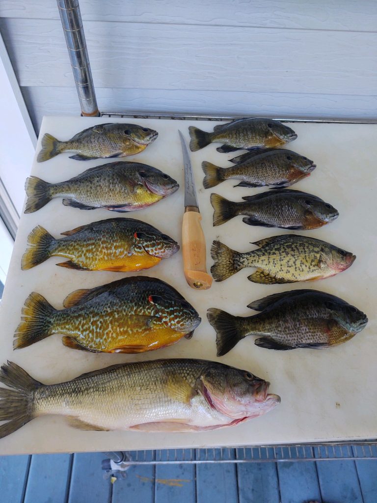CDA Basin — Fish Consumption Advisory