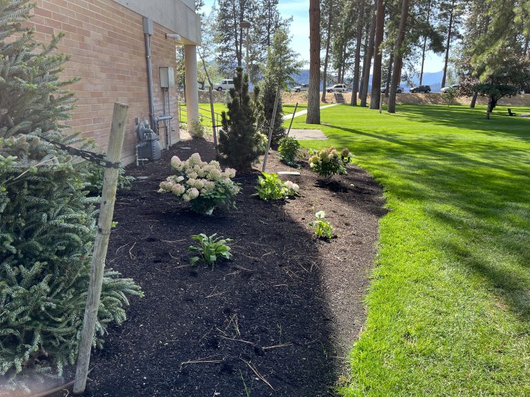 Coeur d'Green Landscaping