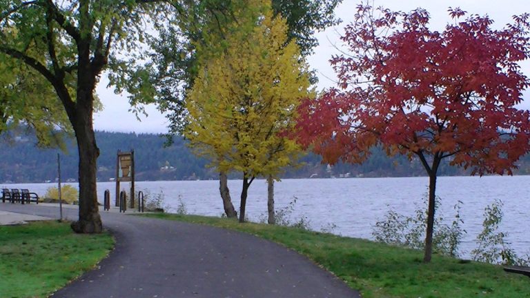 Lake Survey Results Are In