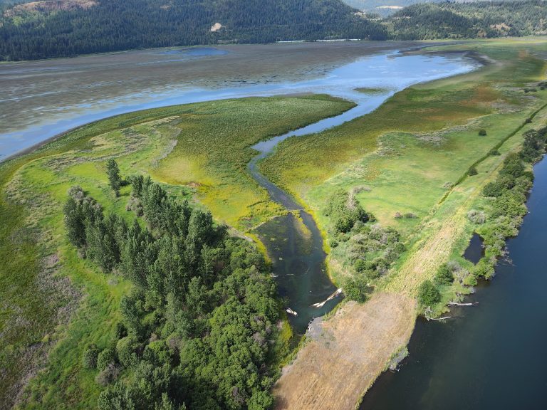 Hepton Lake After Wetland Restoration