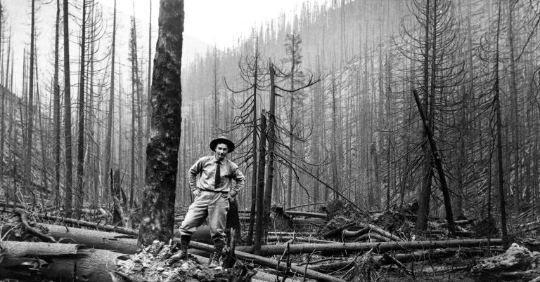 The Big Burn of 1910 Ranger