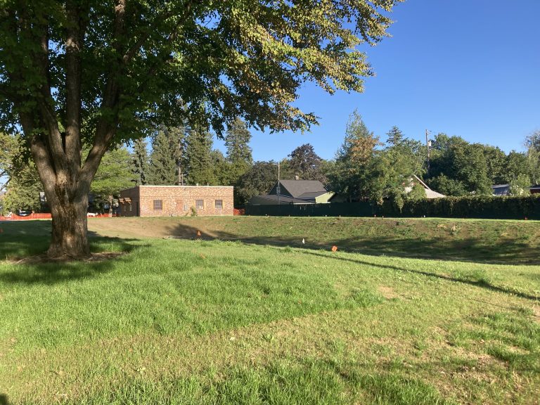 OUR GEM: What’s Up at G.O. Phippeny Park?