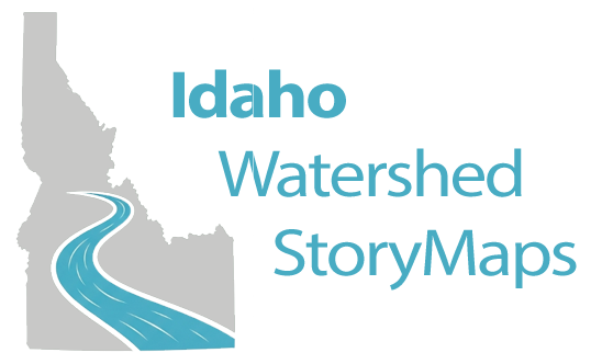 Outline of the state of Idaho with a blue river running through it