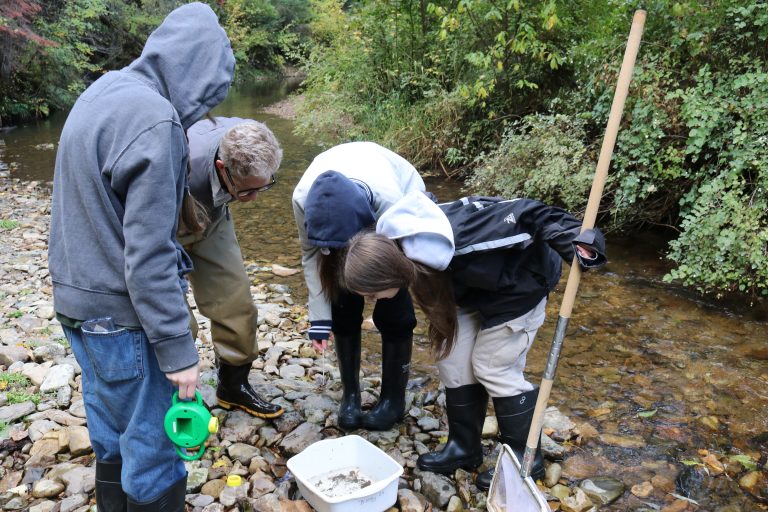 OUR GEM: Local Students Find Excitement with Hands-On Science