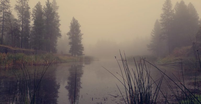 OUR GEM: Taking Public Comments Regarding Wetland Protection Rule Changes