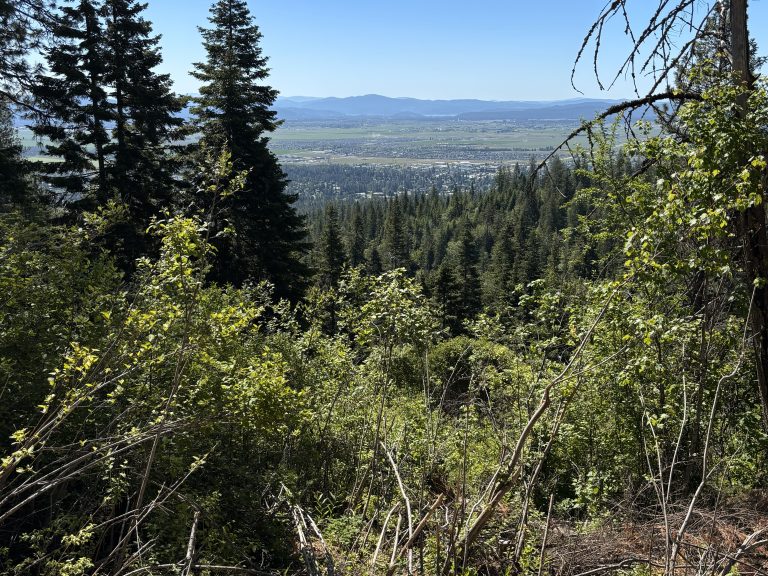 View of Rathdrum Prairie from Rathdrum Mountain