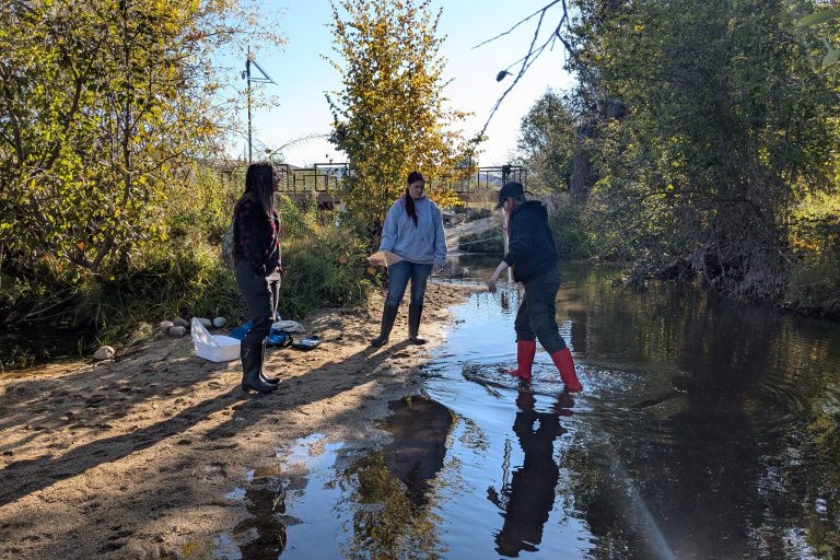 Kuna TCP students sample for macroinvertebrates along the Boise River at Barber Park.