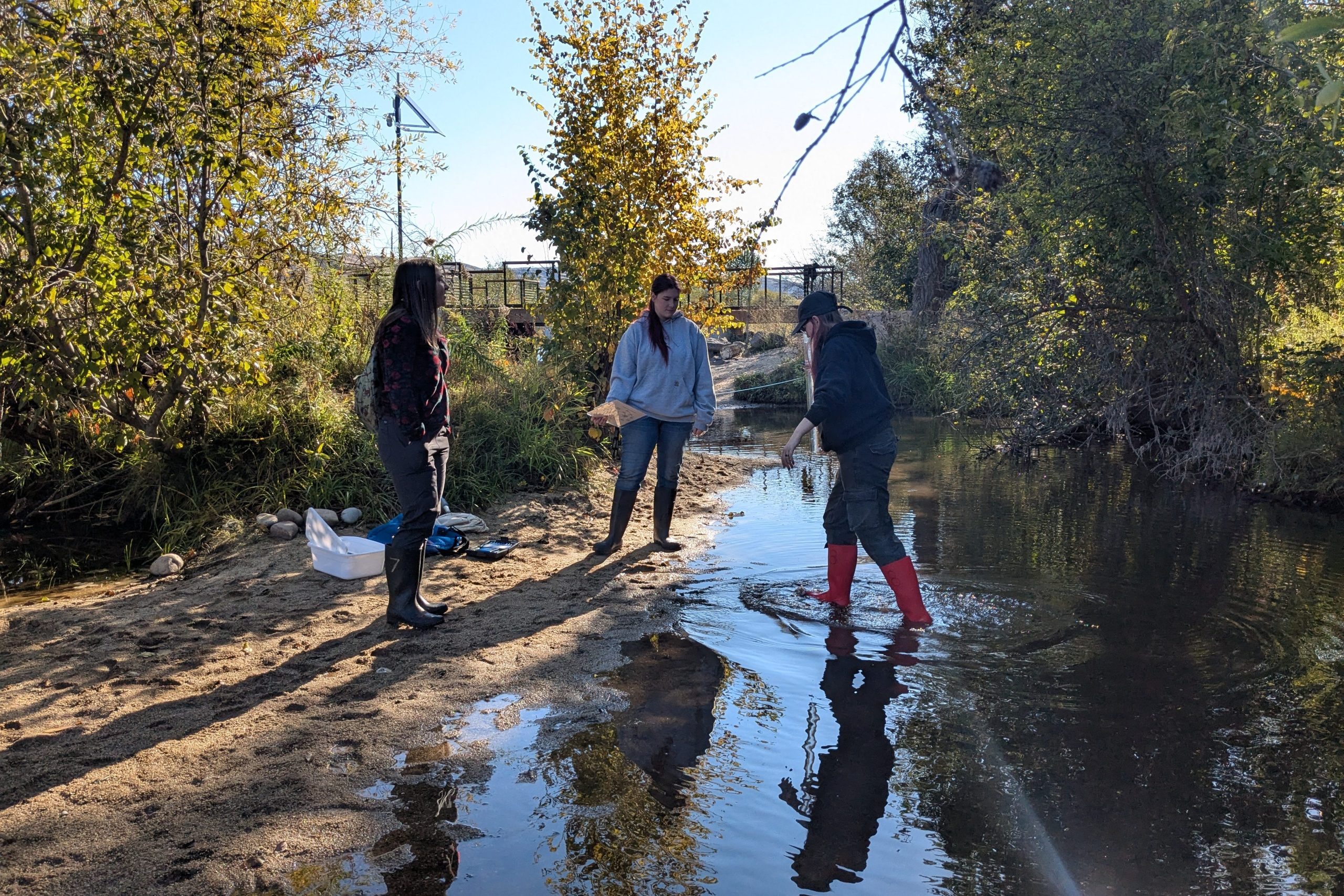 Kuna TCP students sample for macroinvertebrates along the Boise River at Barber Park.